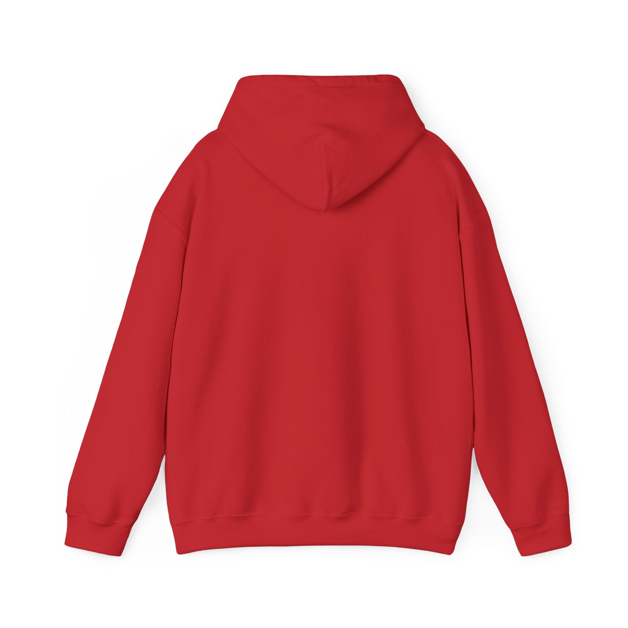 ILLEGAL Hoodie
