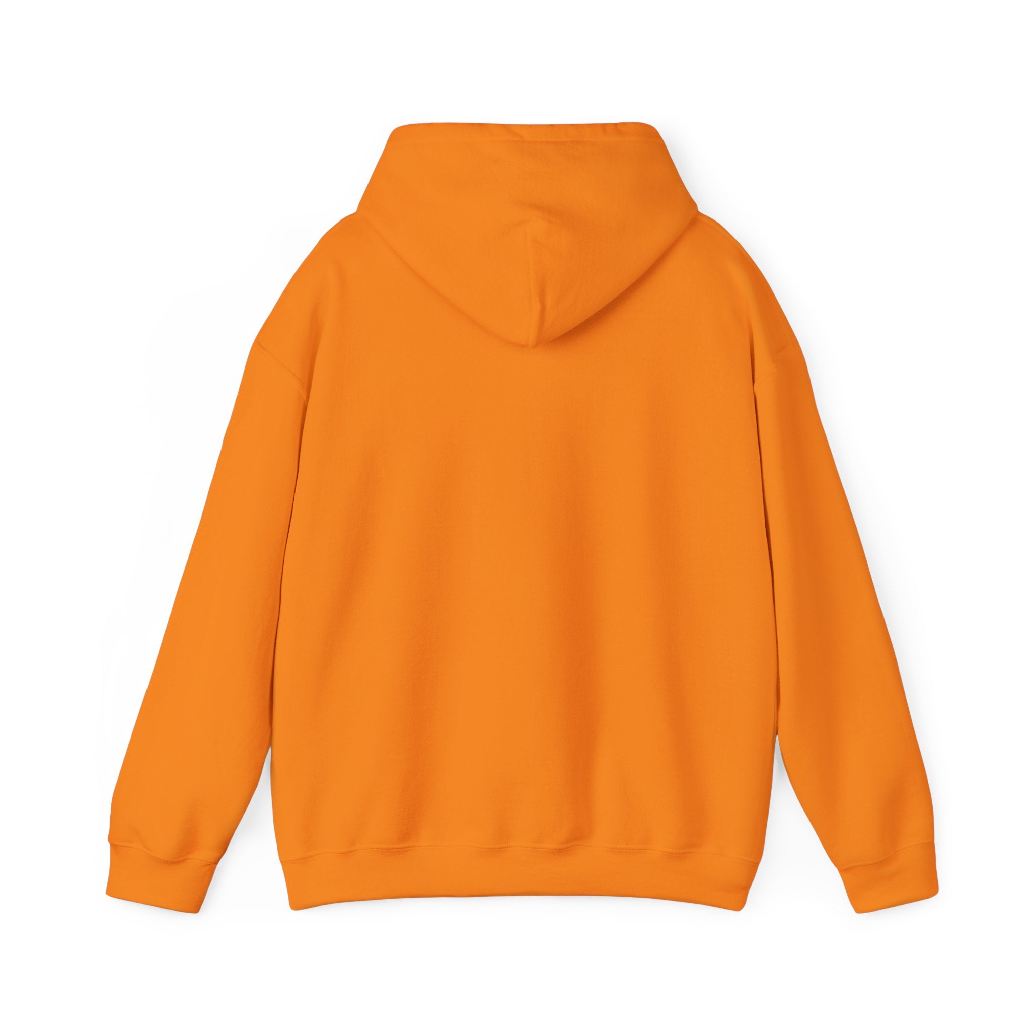 ILLEGAL Hoodie