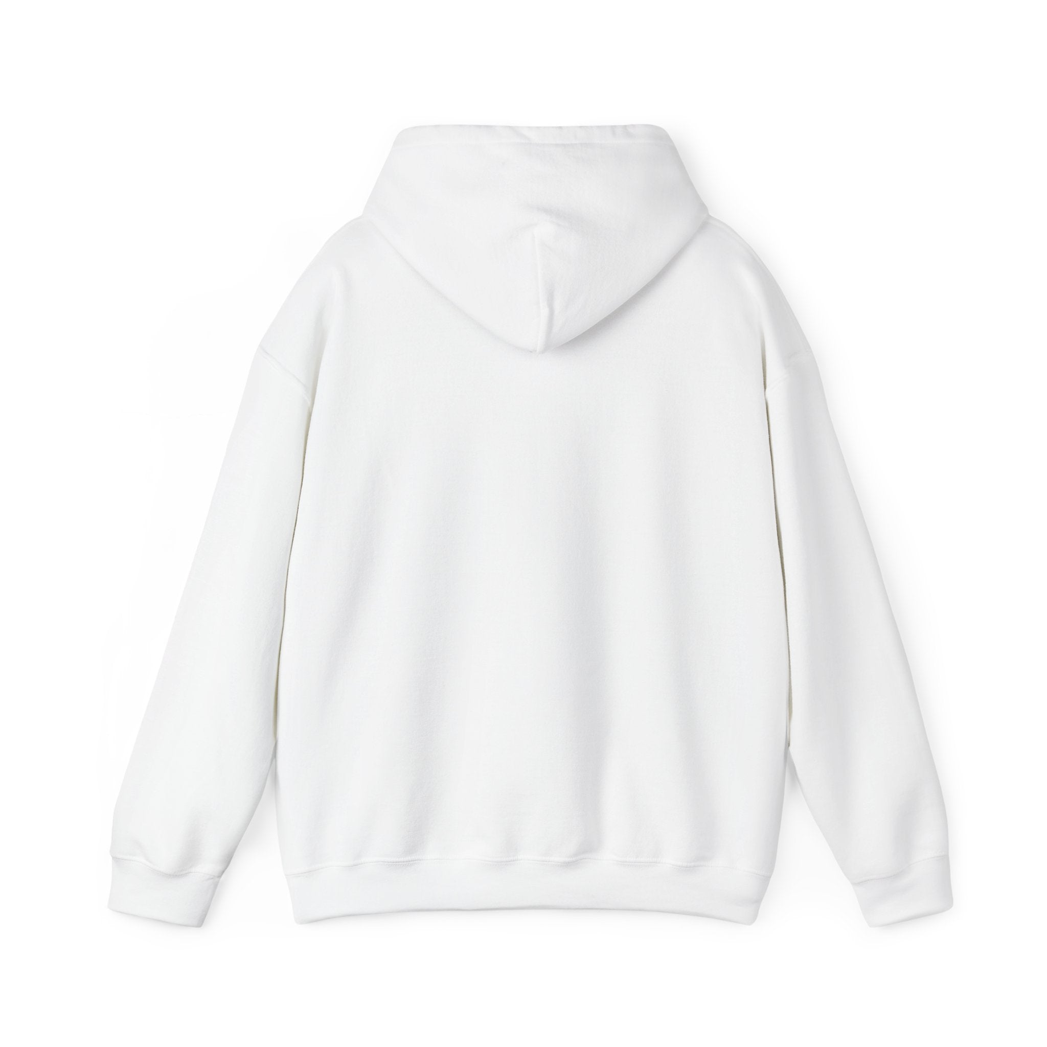 ILLEGAL Hoodie