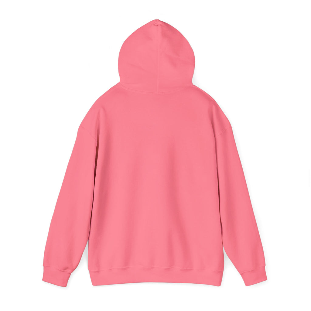 ILLEGAL Hoodie