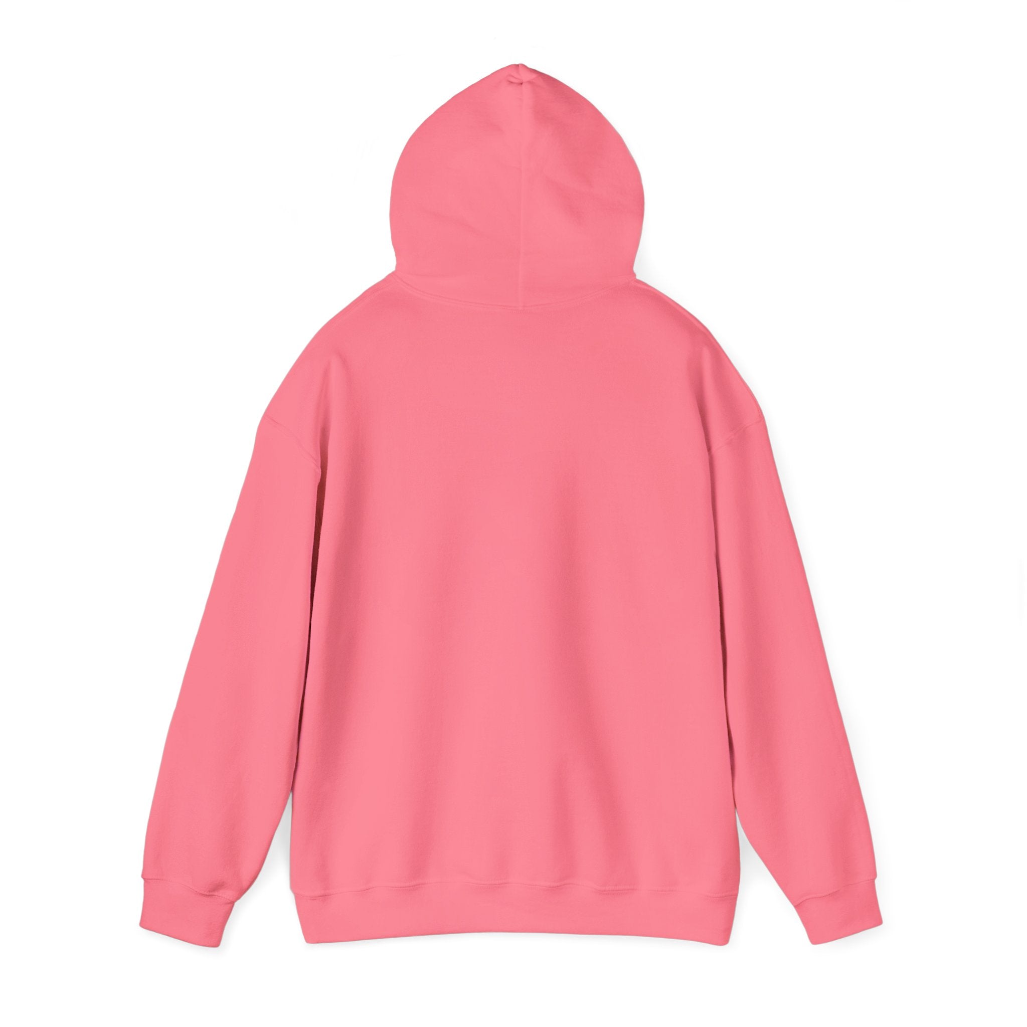 ILLEGAL Hoodie