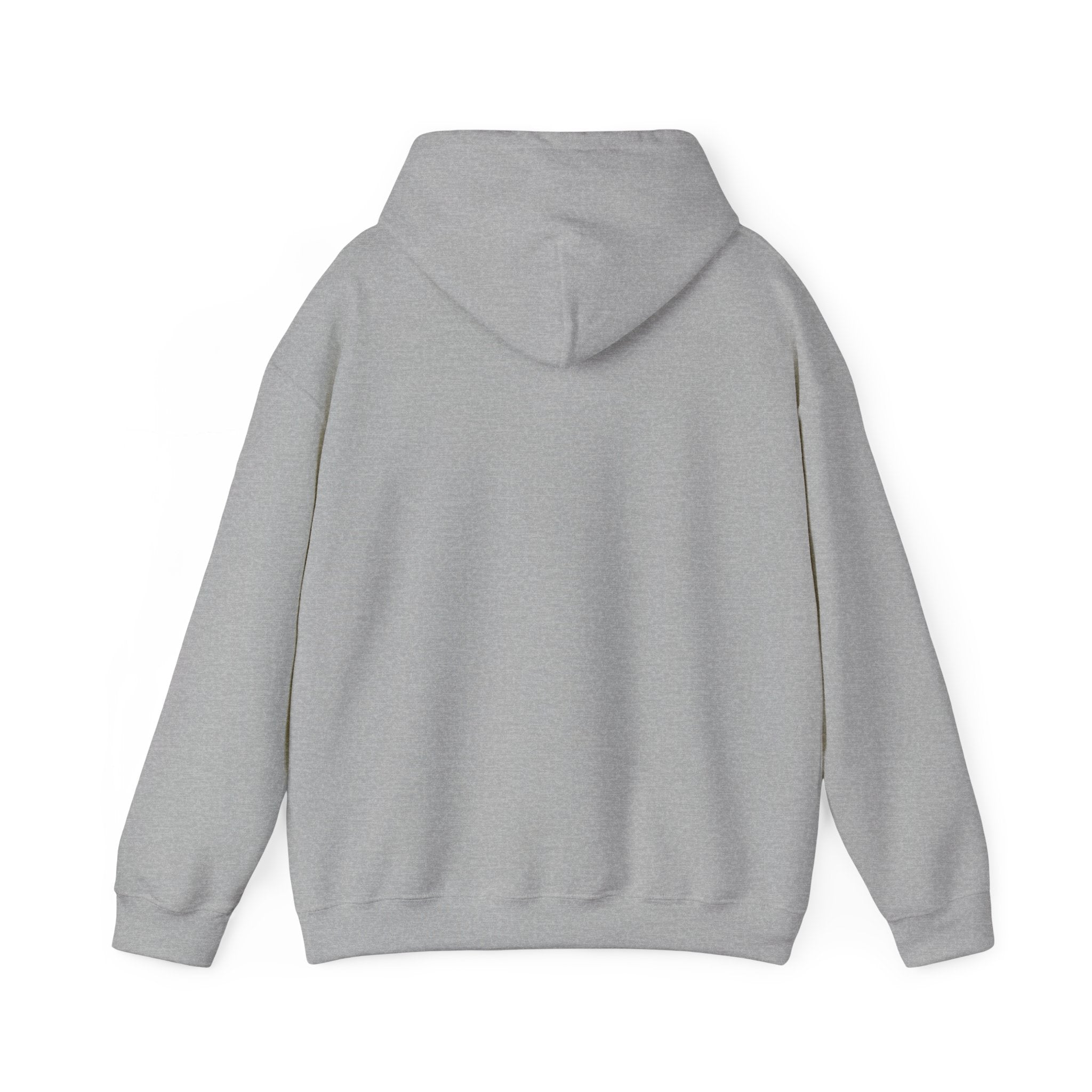 ILLEGAL Hoodie