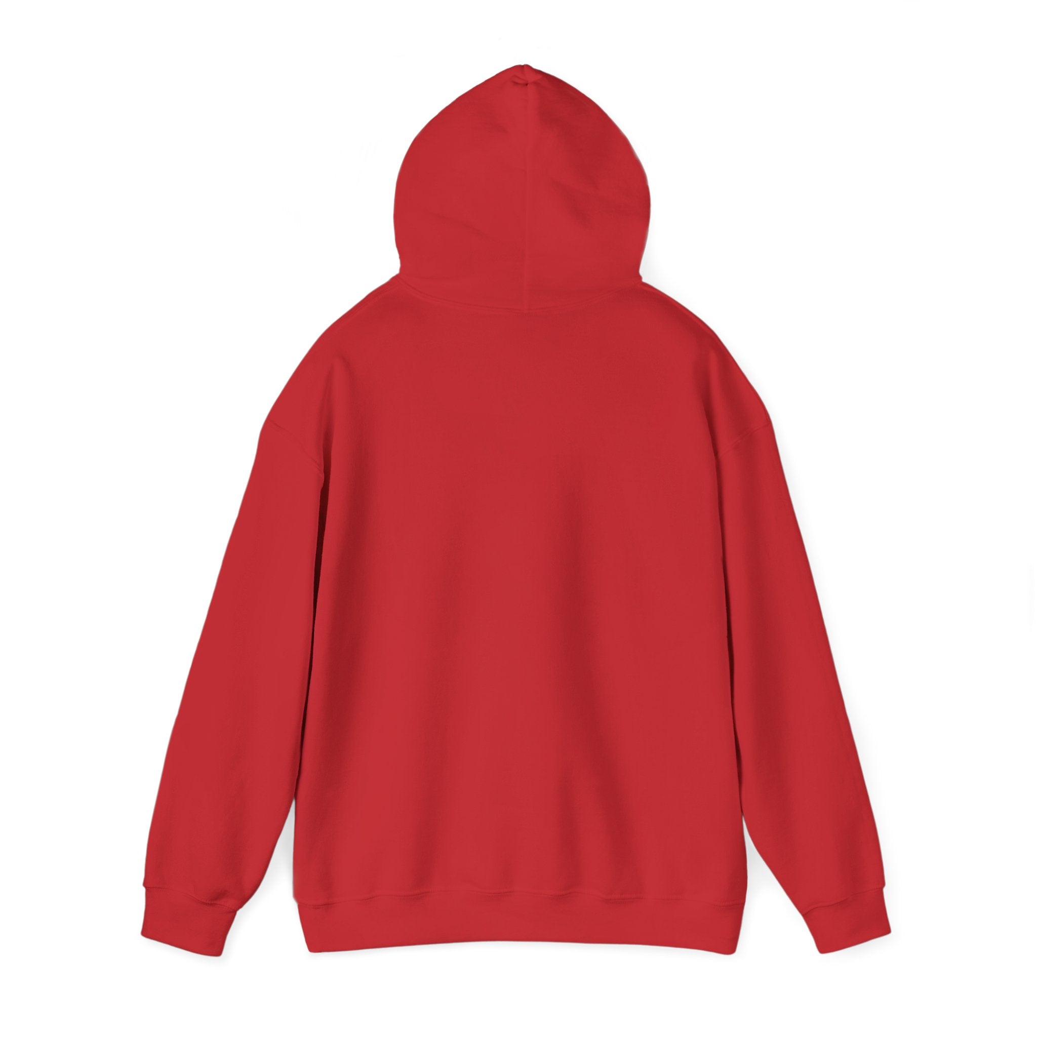 ILLEGAL Hoodie