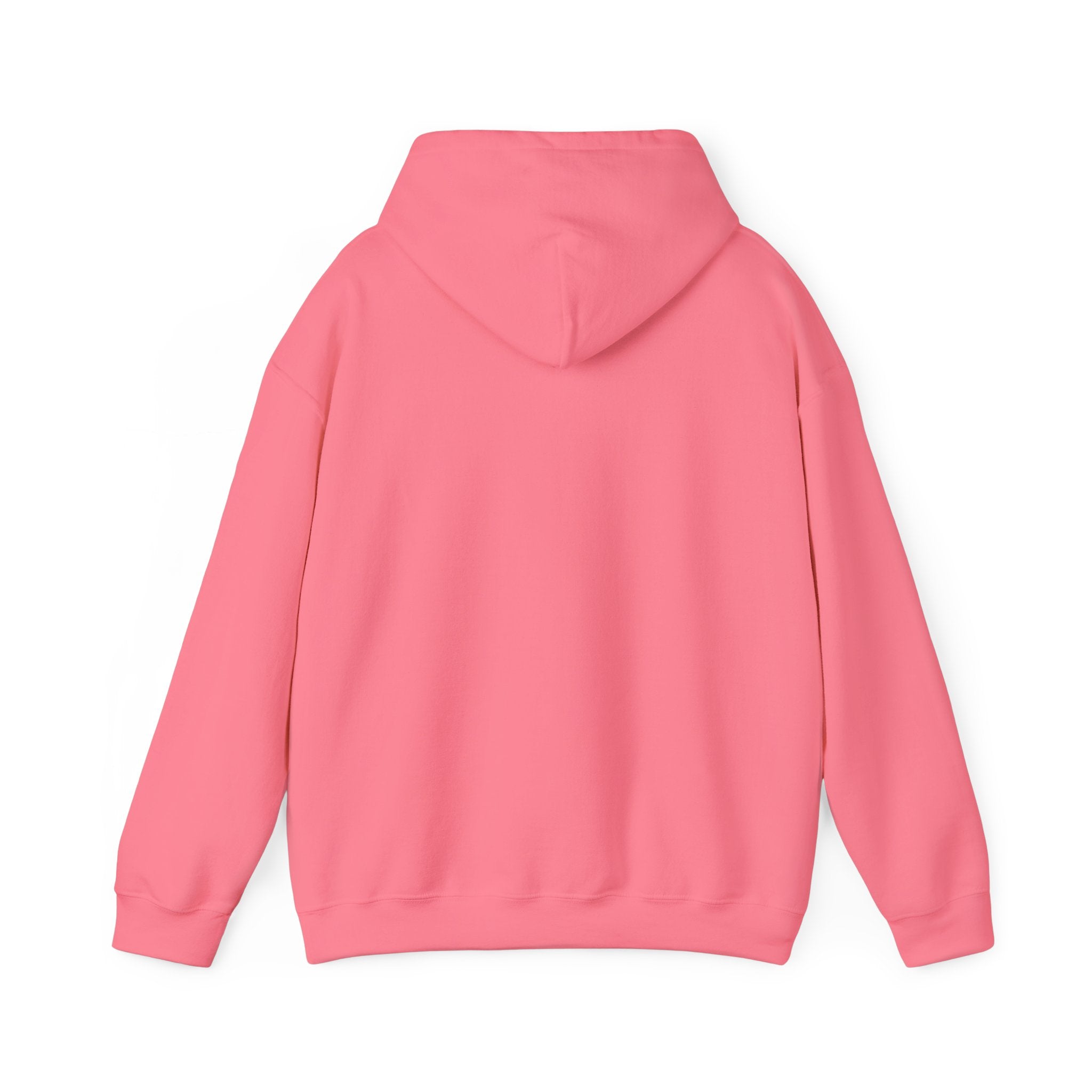 ILLEGAL Hoodie