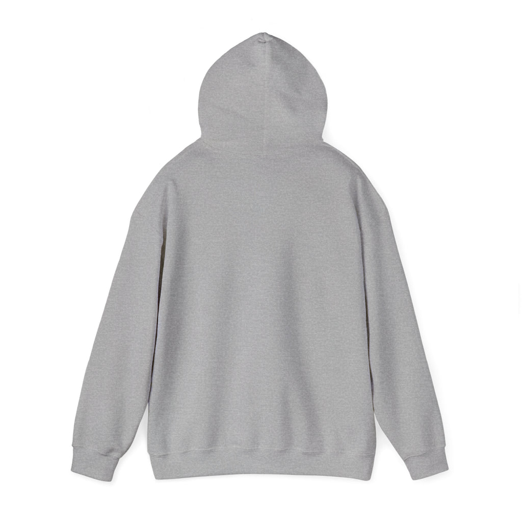 ILLEGAL Hoodie
