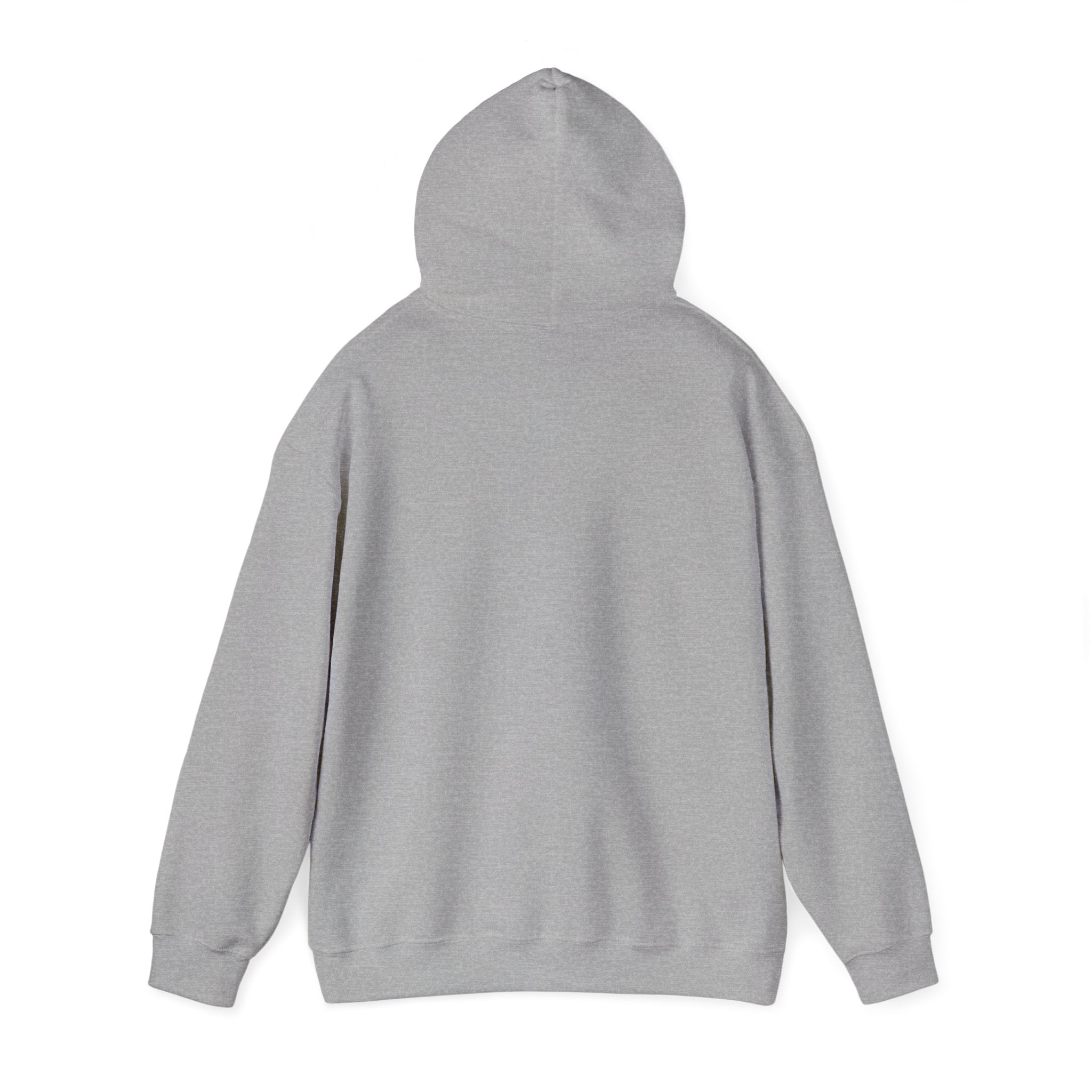 ILLEGAL Hoodie
