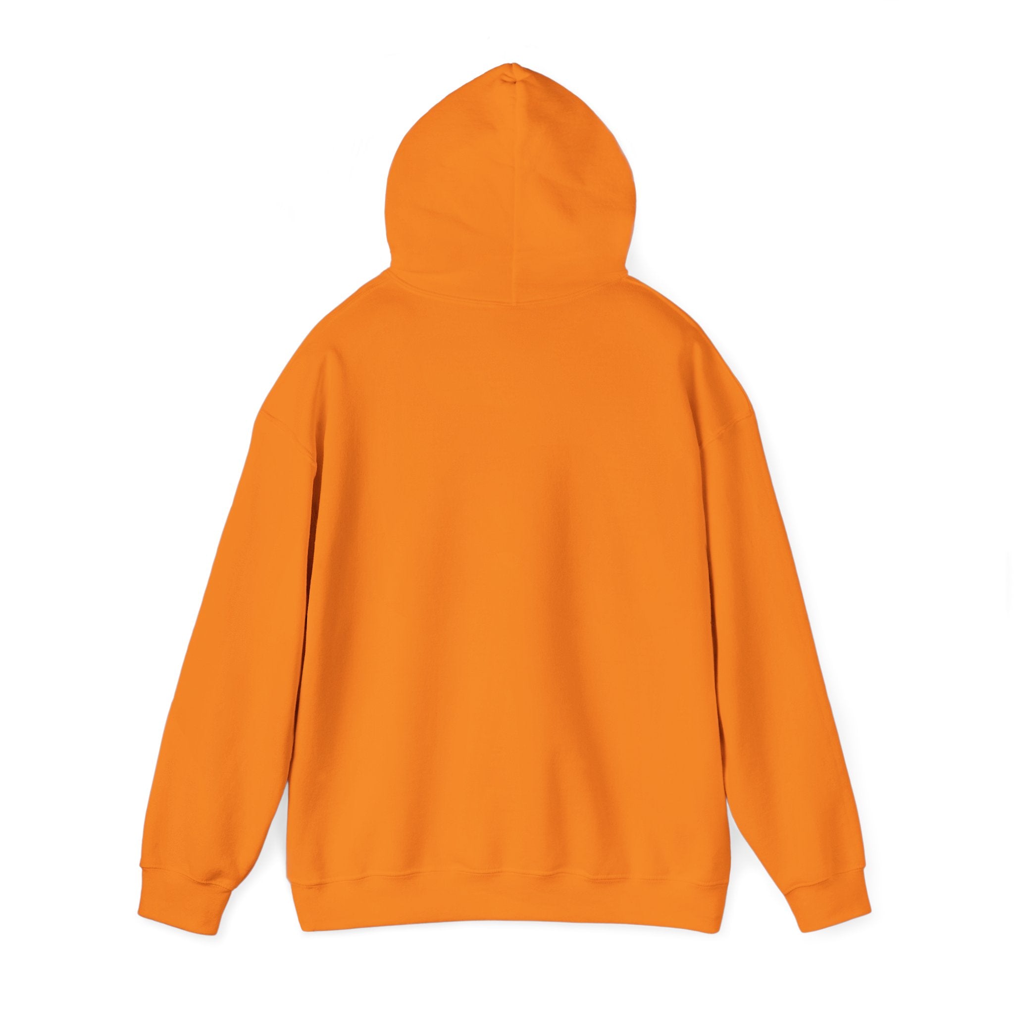 ILLEGAL Hoodie